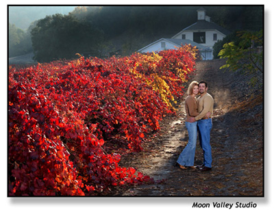 Engagement Portrait in Wine Country